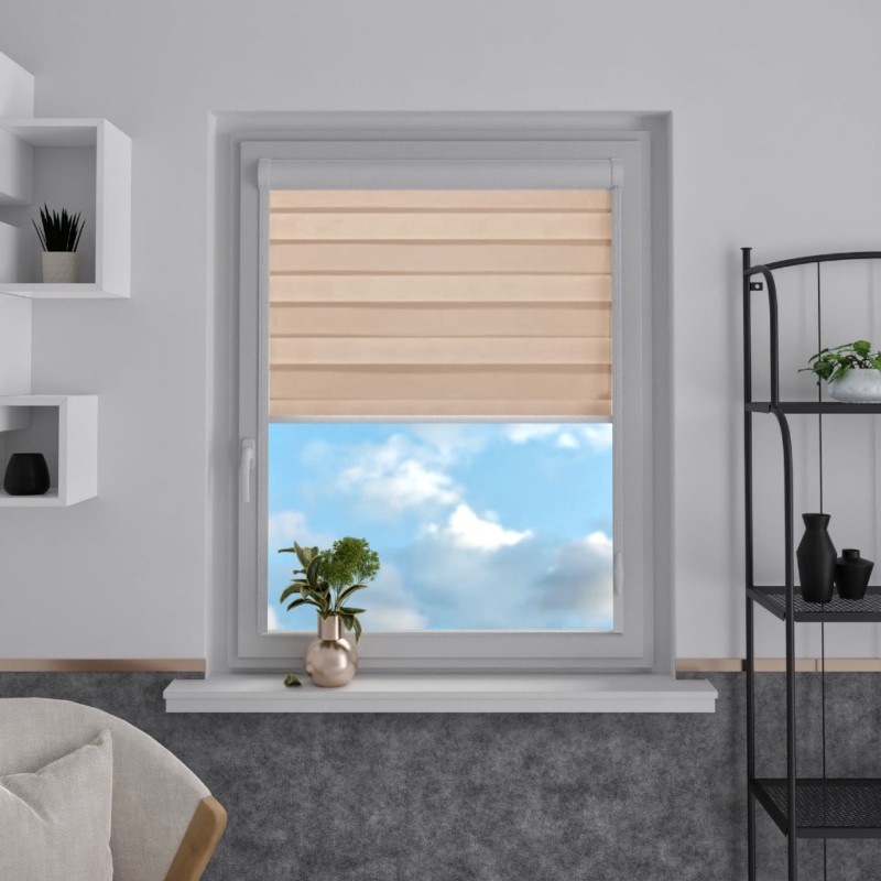 roleta-dzien-noc-w-kasecie-aluminiowej-bezowy-s04.jpg