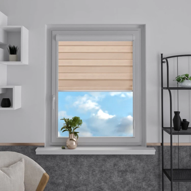 roleta-dzien-noc-w-kasecie-aluminiowej-bezowy-s04
